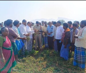 'Revenge' on green crop