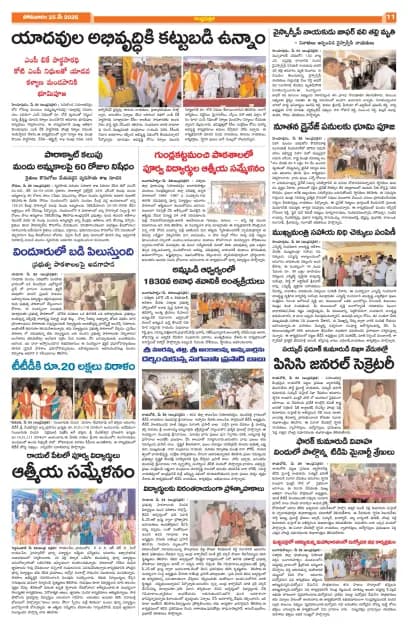 Page 11
